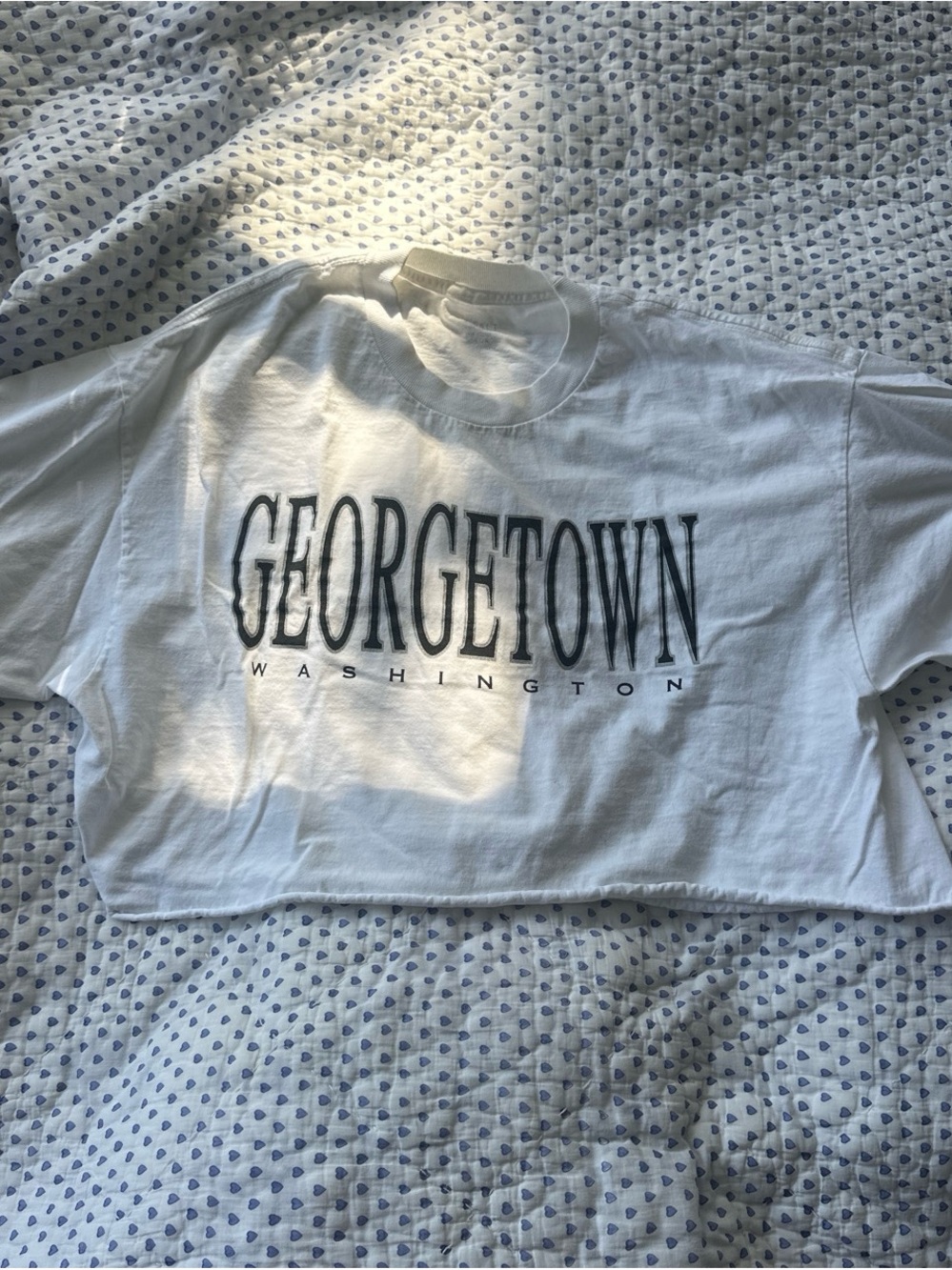 Brandy Melville White Georgetown Washington Cropped Graphic Tee